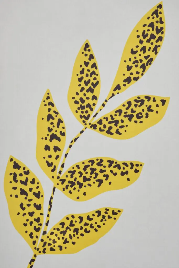 Ya abrió ikea en colombia y hablamos con su gerente mundial de diseño