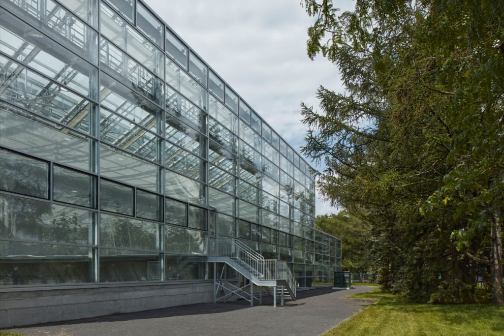 Insectarium de montreal, una mezcla entre la arquitectura y el mundo natural Insectarium de montreal, una mezcla entre la arquitectura y el mundo natural