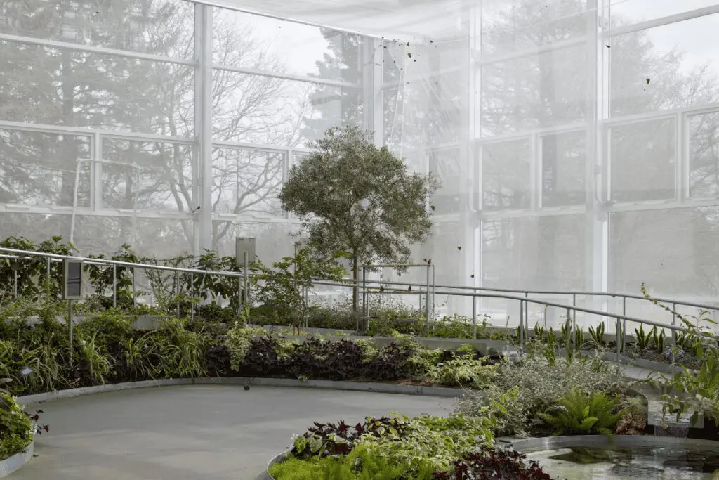 Insectarium de montreal, una mezcla entre la arquitectura y el mundo natural