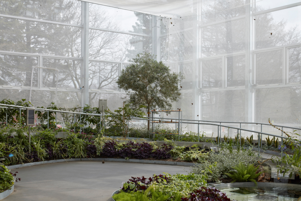Insectarium de montreal, una mezcla entre la arquitectura y el mundo natural Insectarium de montreal, una mezcla entre la arquitectura y el mundo natural
