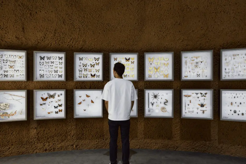 Insectarium de montreal, una mezcla entre la arquitectura y el mundo natural