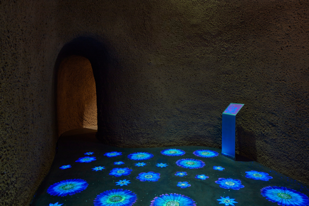 Insectarium de montreal, una mezcla entre la arquitectura y el mundo natural Insectarium de montreal, una mezcla entre la arquitectura y el mundo natural