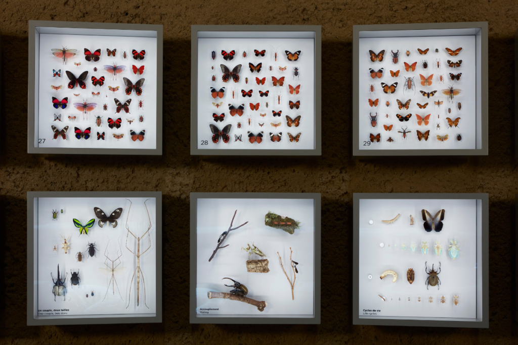 Insectarium de montreal, una mezcla entre la arquitectura y el mundo natural Insectarium de montreal, una mezcla entre la arquitectura y el mundo natural