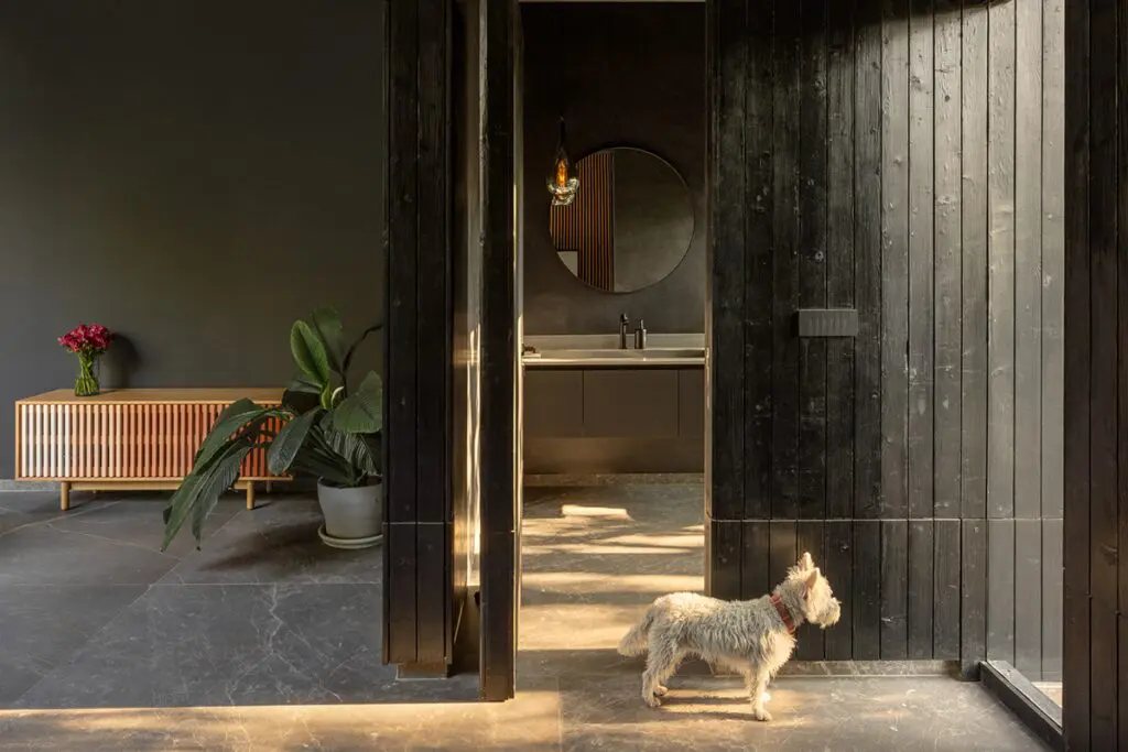 En esta casa en méxico se disfruta del silencio de vivir entre árboles