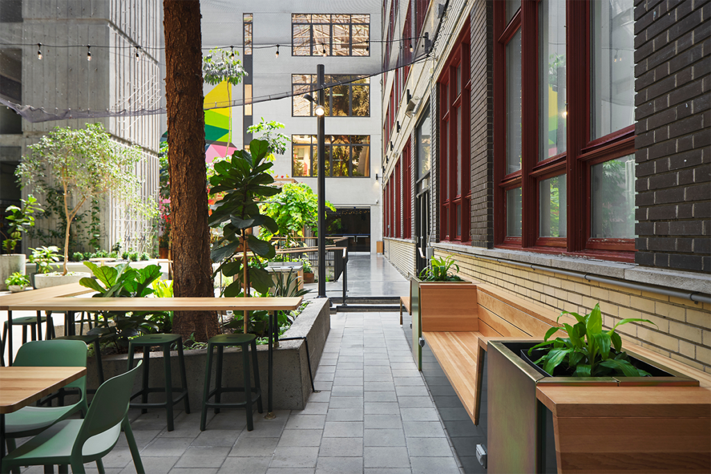 Este jardín es una joya única en el corazón de una universidad en canadá