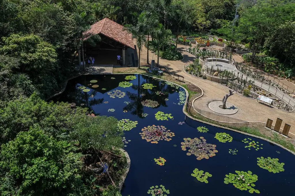Simón vélez y la arquitectura de jardín botánico de cali