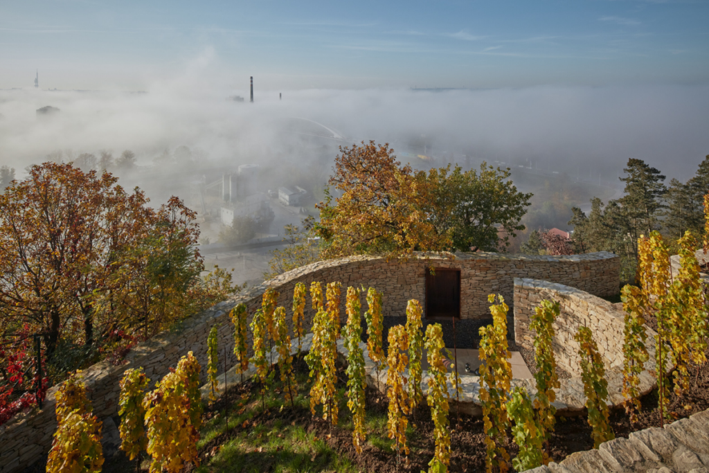 Estos jardines de viñedos son un espectáculo visual al estilo fibonacci Estos jardines de viñedos son un espectáculo visual al estilo fibonacci