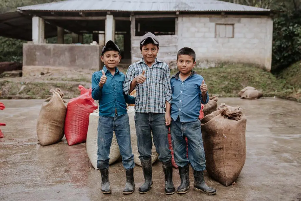 Un café en méxico con un diseño multisensorial que transporta a su cultura y tradición