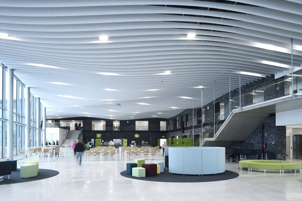 Tips para adecuar la oficina y aumentar la concentración y productividad