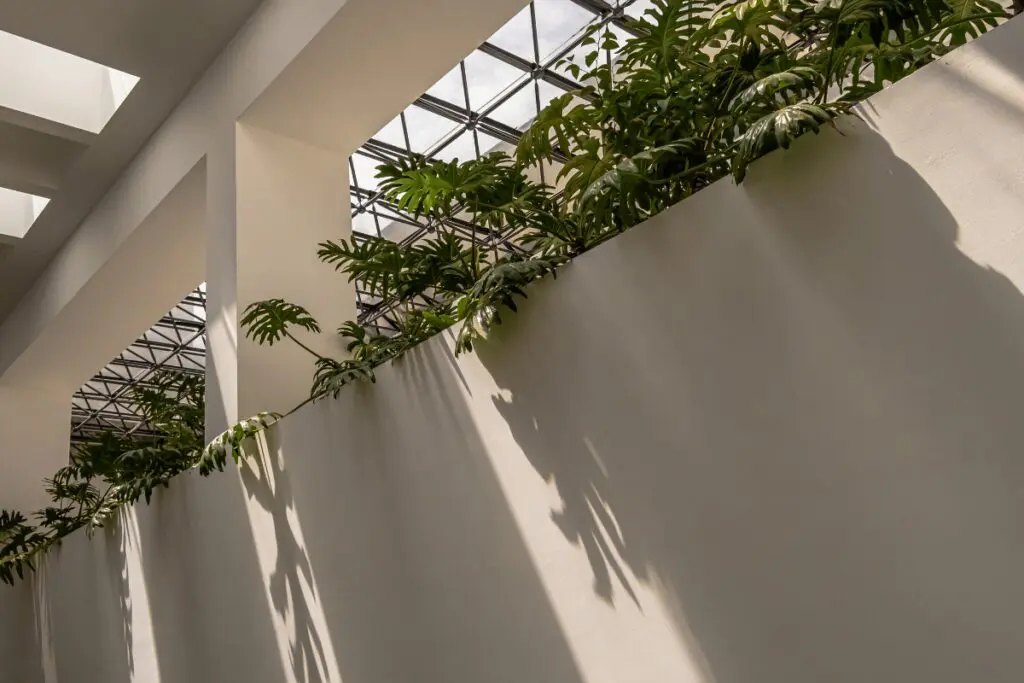 Los universos arquitectónicos de la biblioteca luis ángel arango