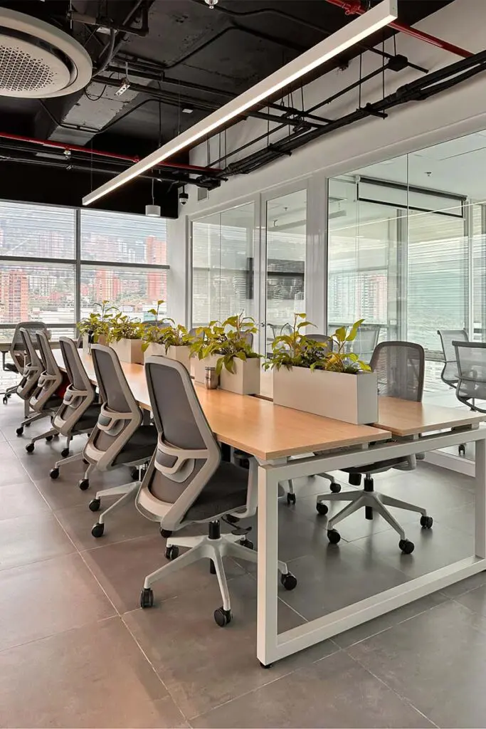 Bienestar y productividad: las claves para un entorno de trabajo bien diseñado