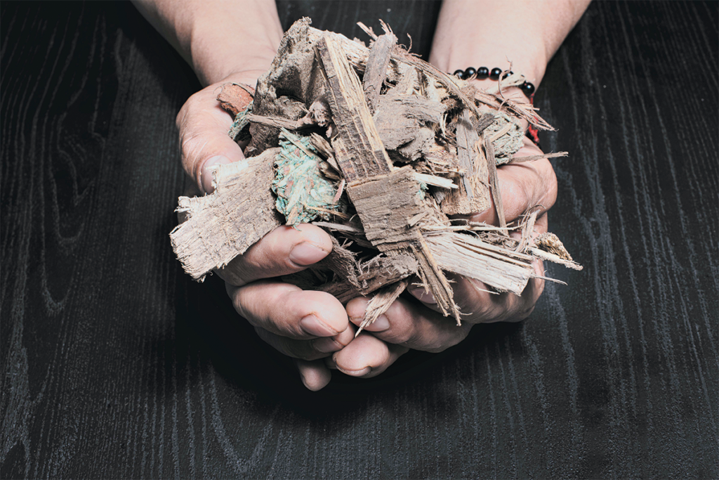 Primadera, una empresa que demuestra cómo usar la madera de forma sostenible Primadera, una empresa que demuestra cómo usar la madera de forma sostenible