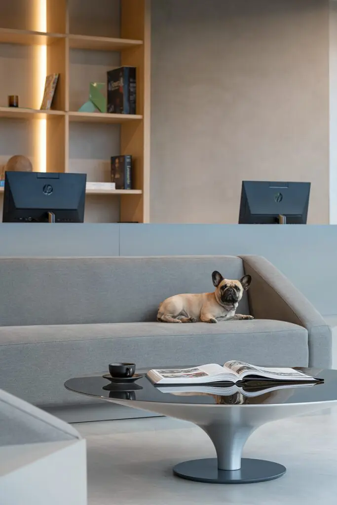 Como el hogar: esta oficina en bogotá tiene una calidez especial