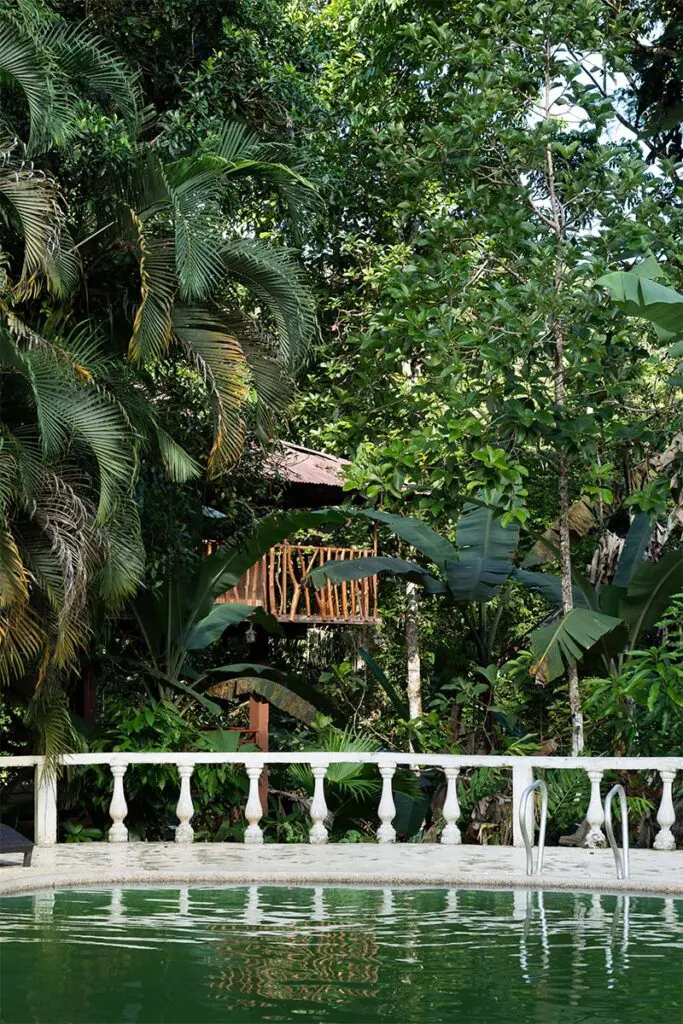 Cabañas entre el agua y los árboles: el origen de posada amazonía