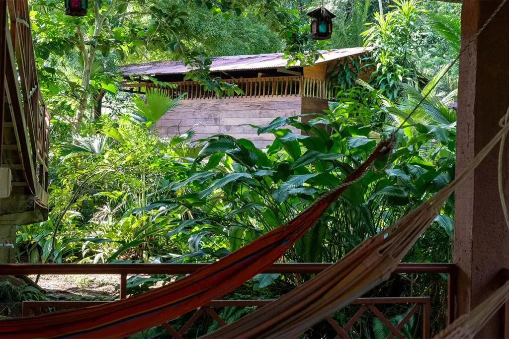 Cabañas entre el agua y los árboles: el origen de posada amazonía