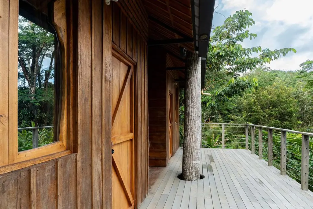 Cabañas entre el agua y los árboles: el origen de posada amazonía