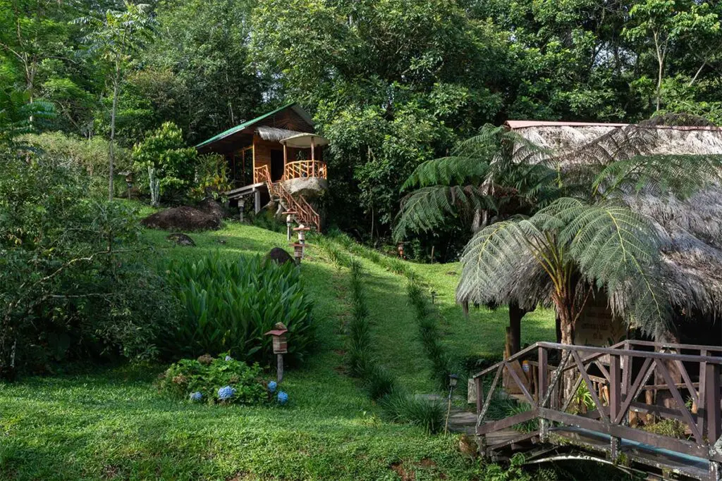 Cabañas entre el agua y los árboles: el origen de posada amazonía