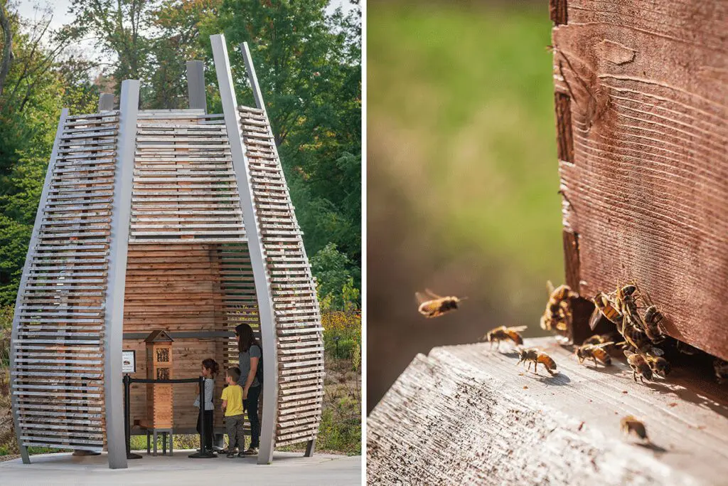 Esta es la obra ganadora del premio de arquitectura paisajista architizer 2024 Esta es la obra ganadora del premio de arquitectura paisajista architizer 2024