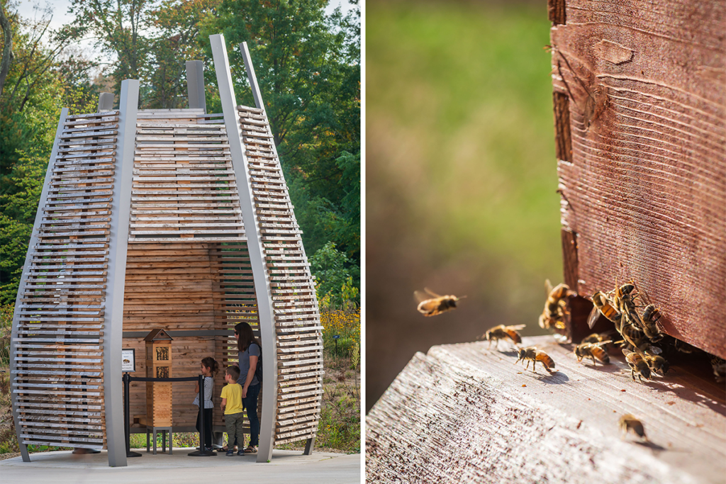 Esta es la obra ganadora del premio de arquitectura paisajista architizer 2024