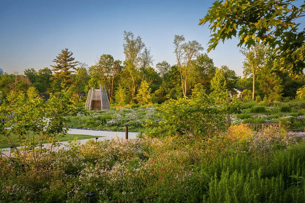 Esta es la obra ganadora del premio de arquitectura paisajista architizer 2024 Esta es la obra ganadora del premio de arquitectura paisajista architizer 2024