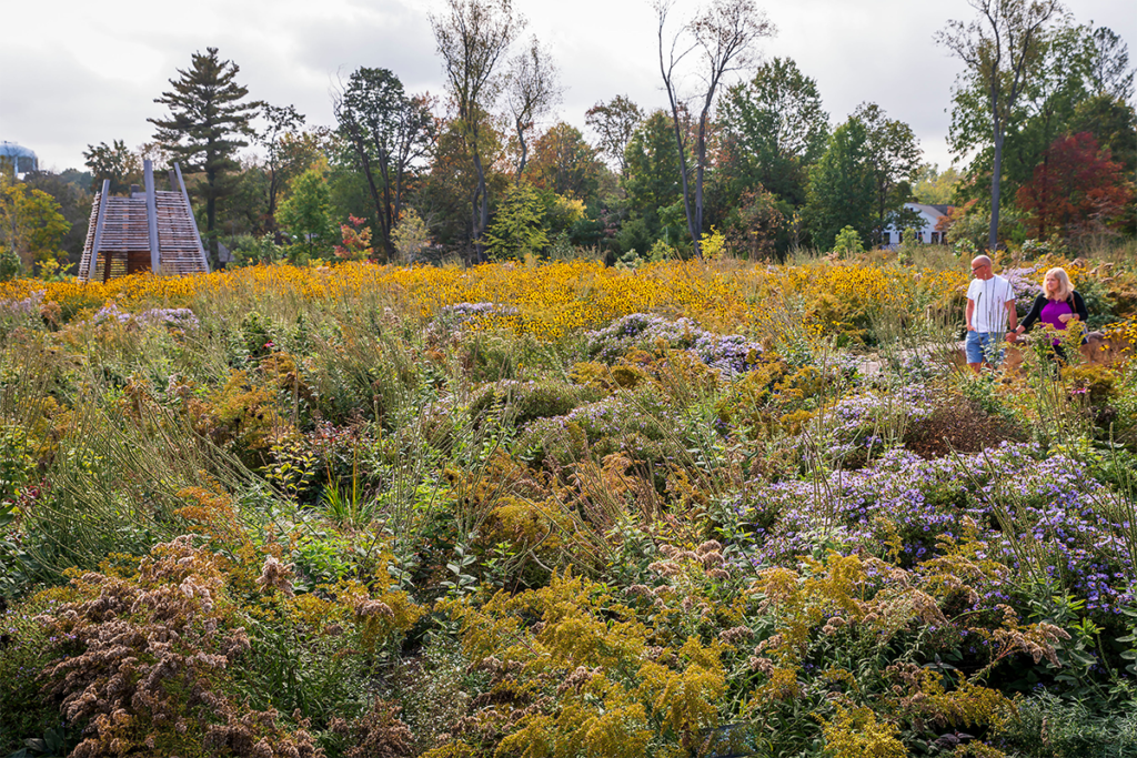Esta es la obra ganadora del premio de arquitectura paisajista architizer 2024
