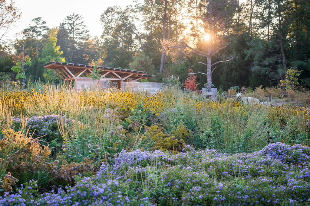 Esta es la obra ganadora del premio de arquitectura paisajista architizer 2024