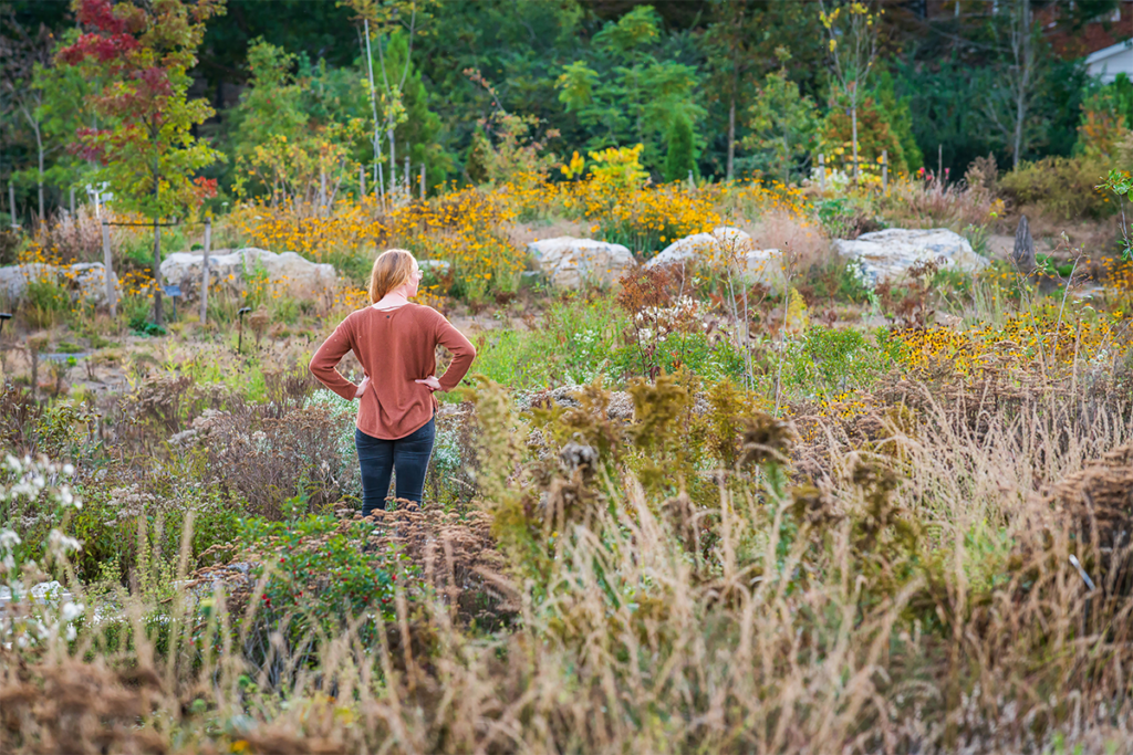 Esta es la obra ganadora del premio de arquitectura paisajista architizer 2024