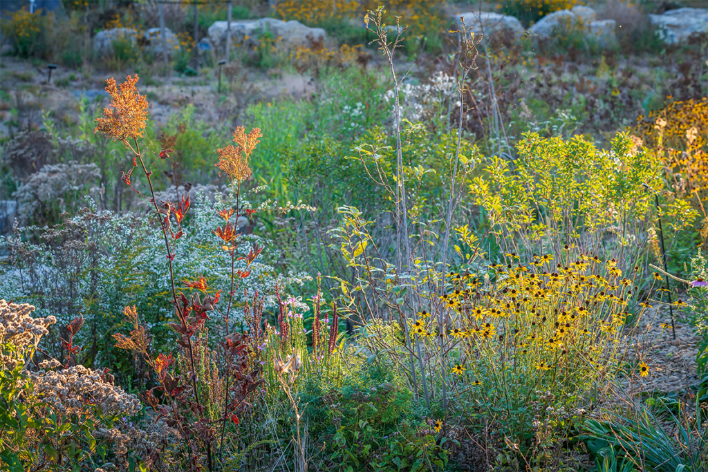Esta es la obra ganadora del premio de arquitectura paisajista architizer 2024