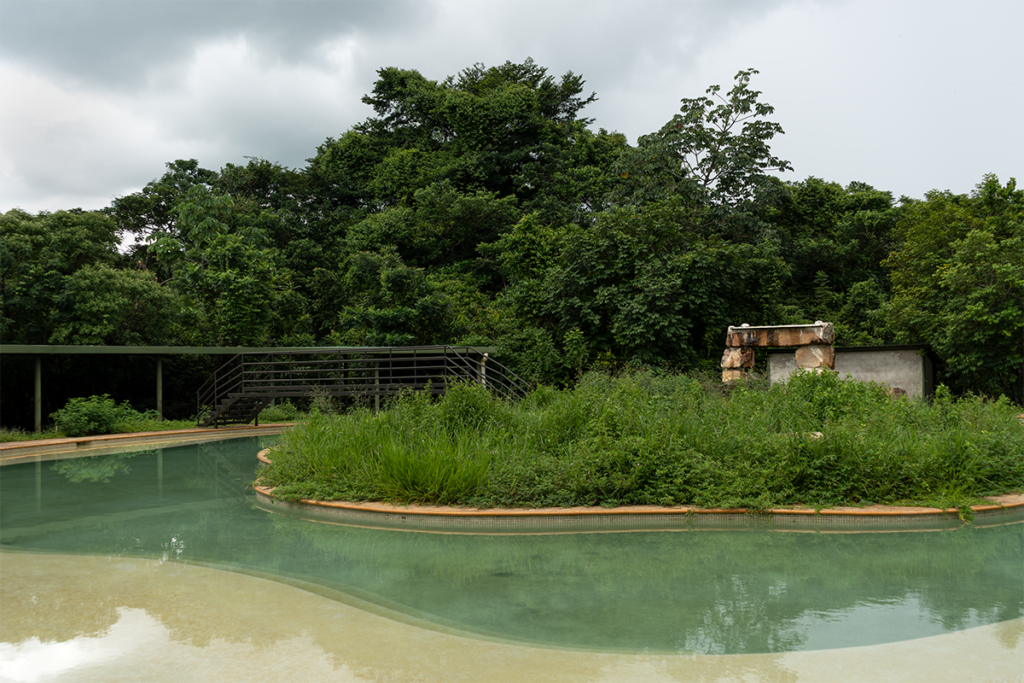 Chocó y arauca tienen senderos ecológicos que los alejan de la guerra