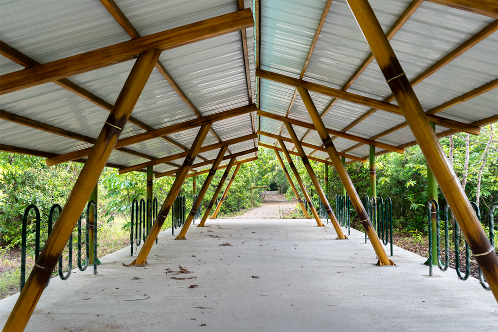 Chocó y arauca tienen senderos ecológicos que los alejan de la guerra