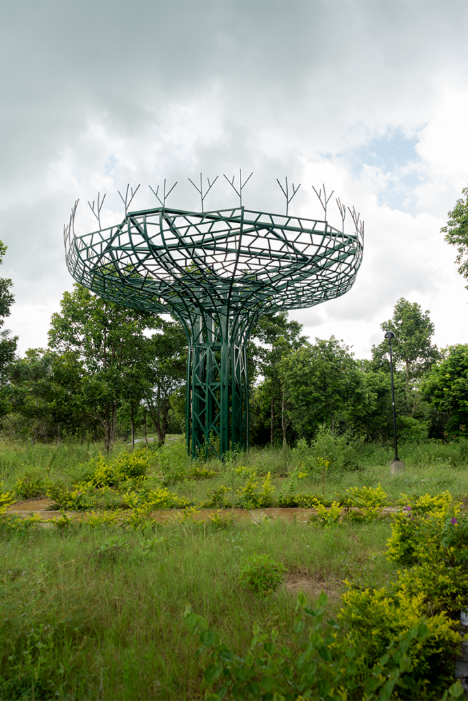 Chocó y arauca tienen senderos ecológicos que los alejan de la guerra