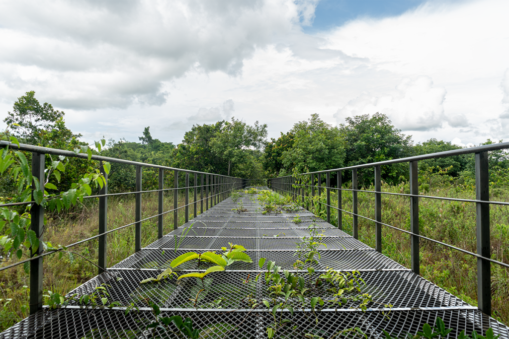 Chocó y arauca tienen senderos ecológicos que los alejan de la guerra