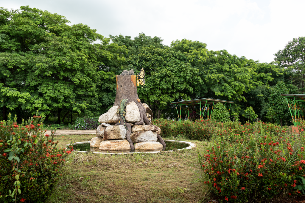 Chocó y arauca tienen senderos ecológicos que los alejan de la guerra