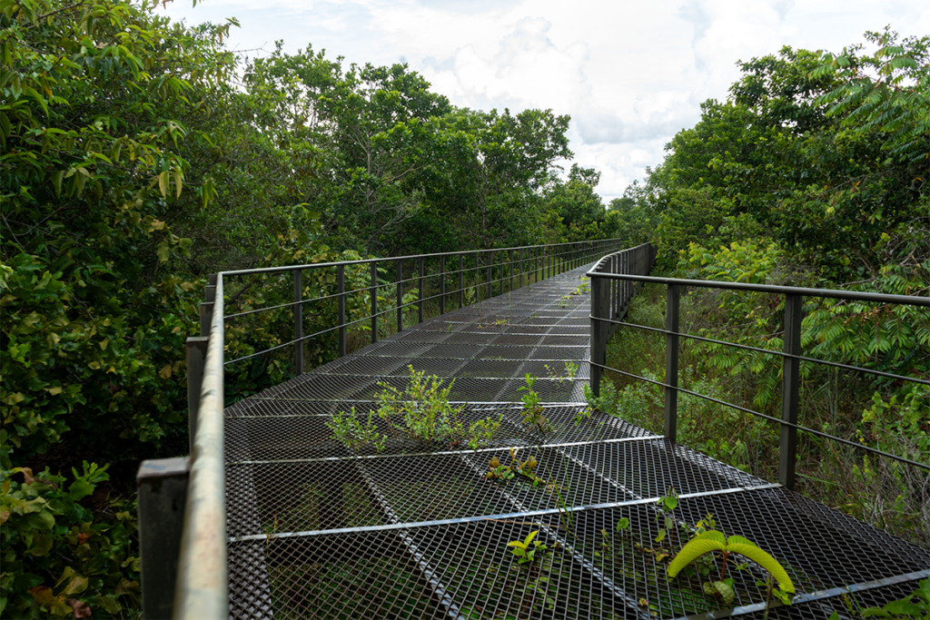 Chocó y arauca tienen senderos ecológicos que los alejan de la guerra