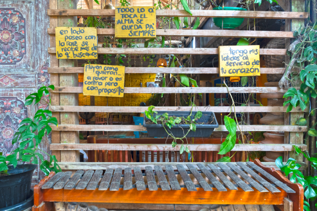 Quibdó, un destino por (re)descubrir: capital mundial de la biodiversidad y la chirimía