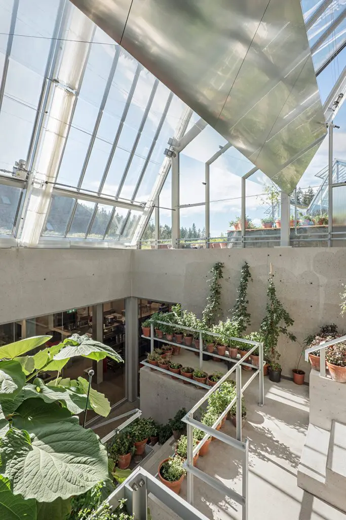 Un restaurante particular en austria que es un invernadero y un moderno mirador