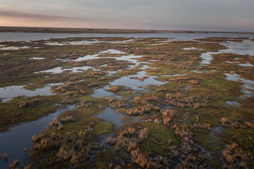 Rolex perpetual planet: el compromiso por un futuro sostenible