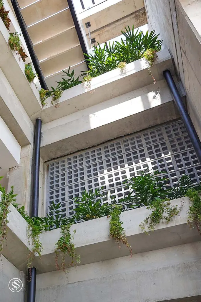 En homenaje a la esencia caleña, esta tienda tiene una arquitectura orgánica y sutil 