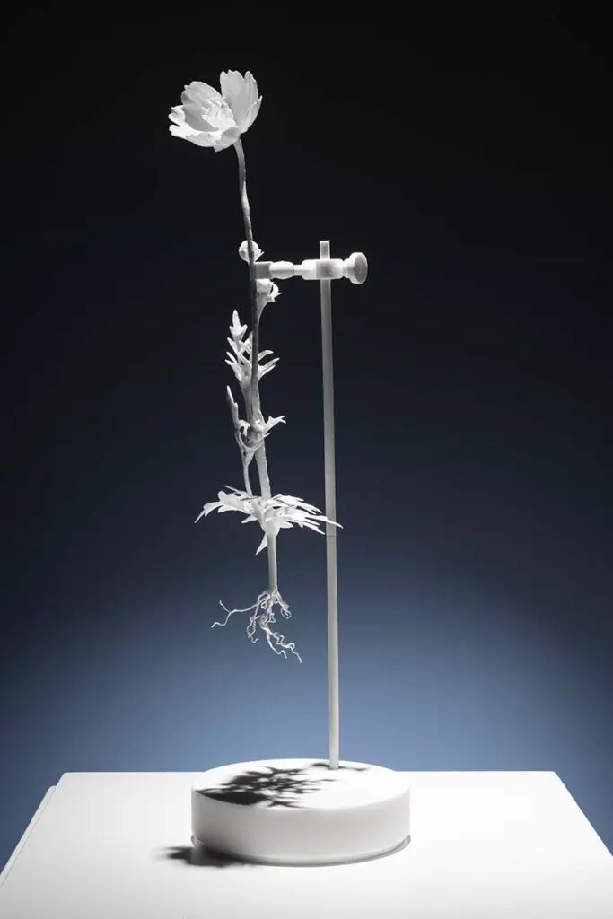 Plan en bogotá: visite la exposición ‘naturaleza humana’, en la macarena