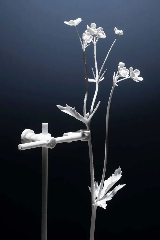 Plan en bogotá: visite la exposición ‘naturaleza humana’, en la macarena