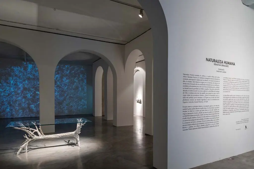 Plan en bogotá: visite la exposición ‘naturaleza humana’, en la macarena