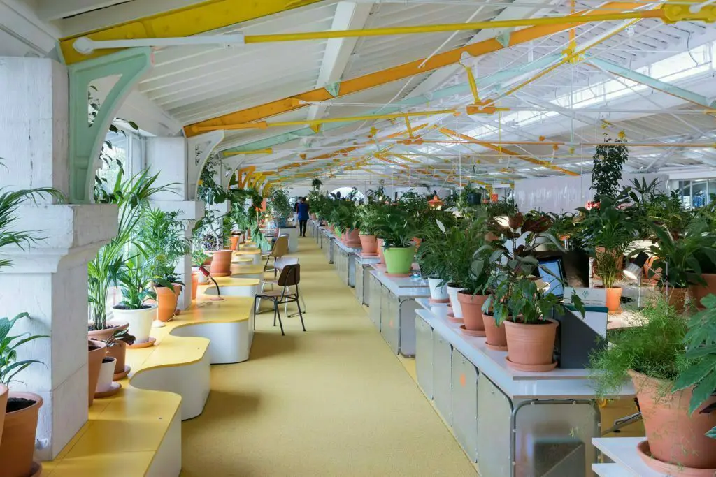 Una oficina creativa con más de 1. 000 plantas y árboles en su interior