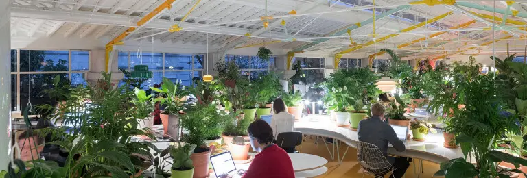 Una oficina creativa con más de 1. 000 plantas y árboles en su interior