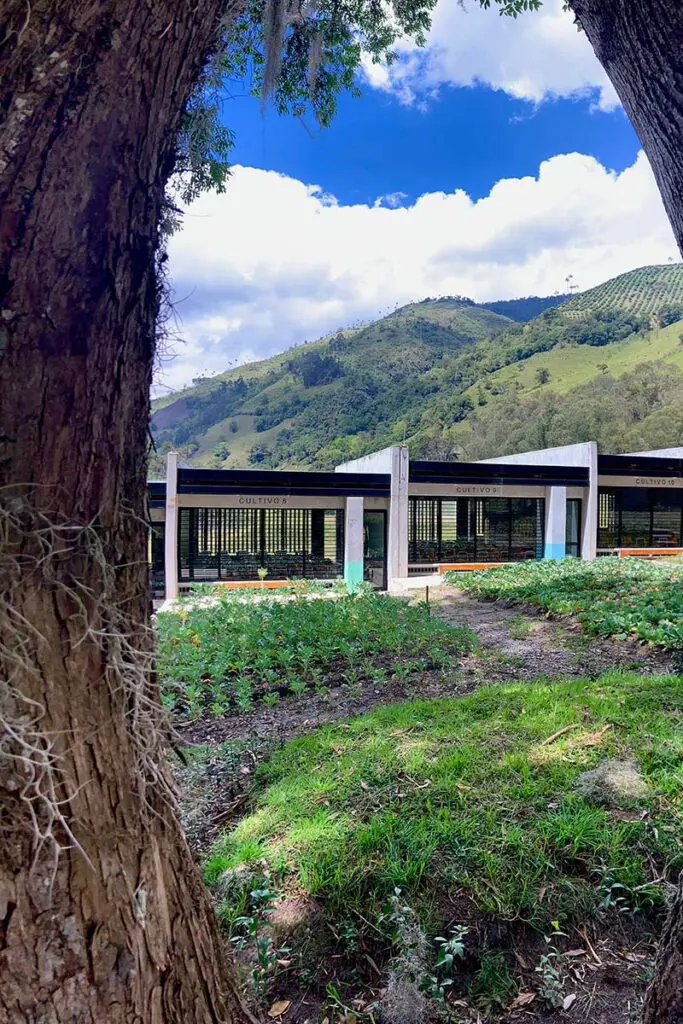 Este es el colegio de crepes & waffles con una arquitectura para la comunidad Este es el colegio de crepes & waffles con una arquitectura para la comunidad