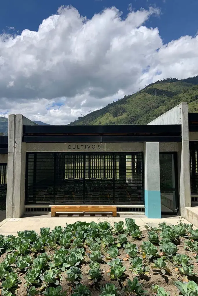 Este es el colegio de crepes & waffles con una arquitectura para la comunidad Este es el colegio de crepes & waffles con una arquitectura para la comunidad