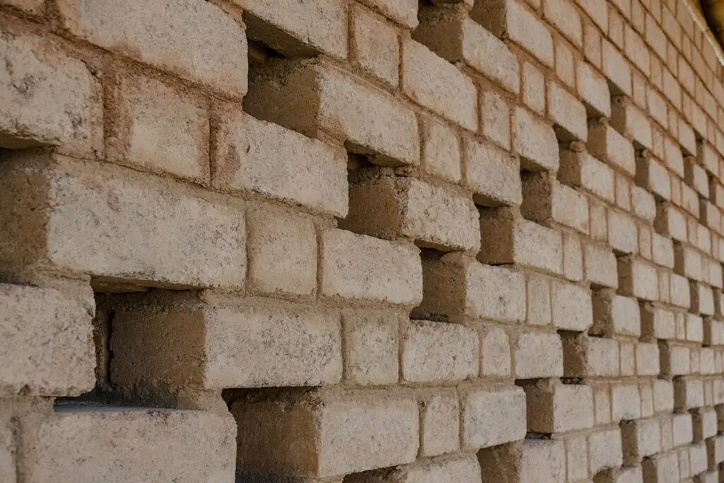 Raíces constructivas: diseños sostenibles y ecointeligentes Raíces constructivas: diseños sostenibles y ecointeligentes