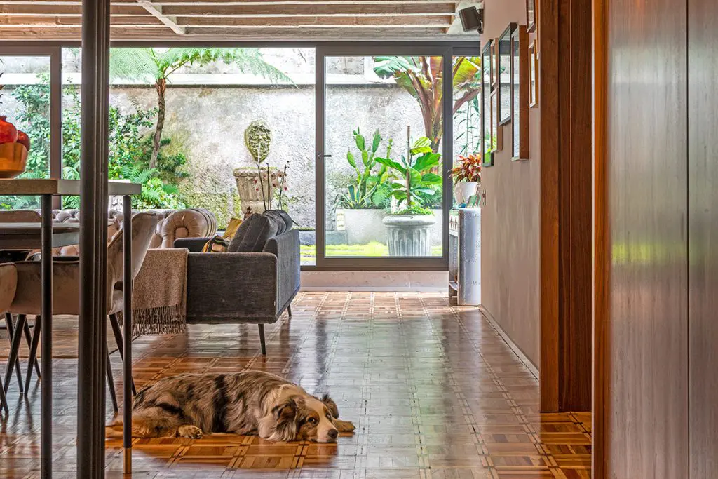 ‘reformar este apartamento fue como hacer arqueología’ ‘reformar este apartamento fue como hacer arqueología’