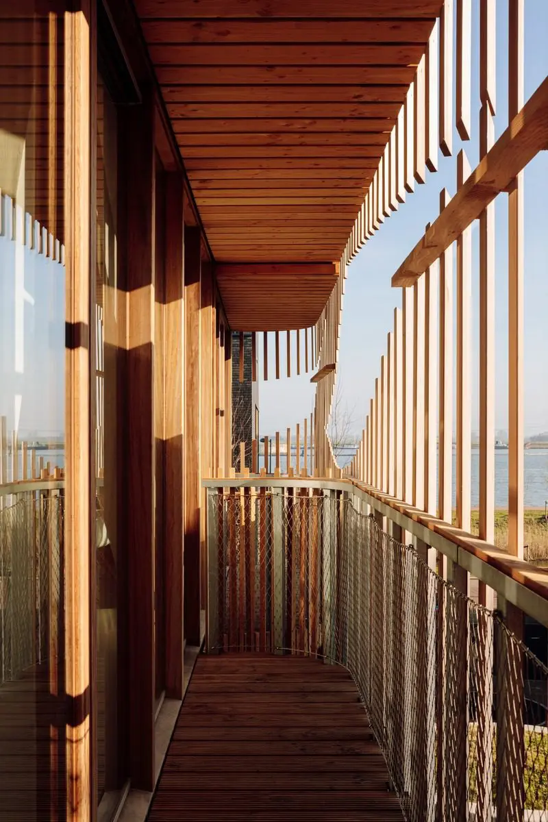 Arquitectura biofílica: la nueva tendencia sostenible con la que diseñaran las viviendas del futuro Arquitectura biofílica: la nueva tendencia sostenible con la que diseñaran las viviendas del futuro