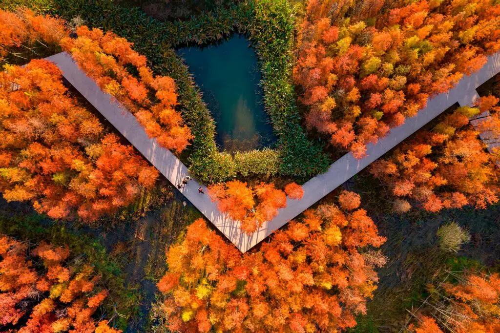 Fish tail park, un ‘bosque flotante’ en nanchang, china Bosque flotante en china