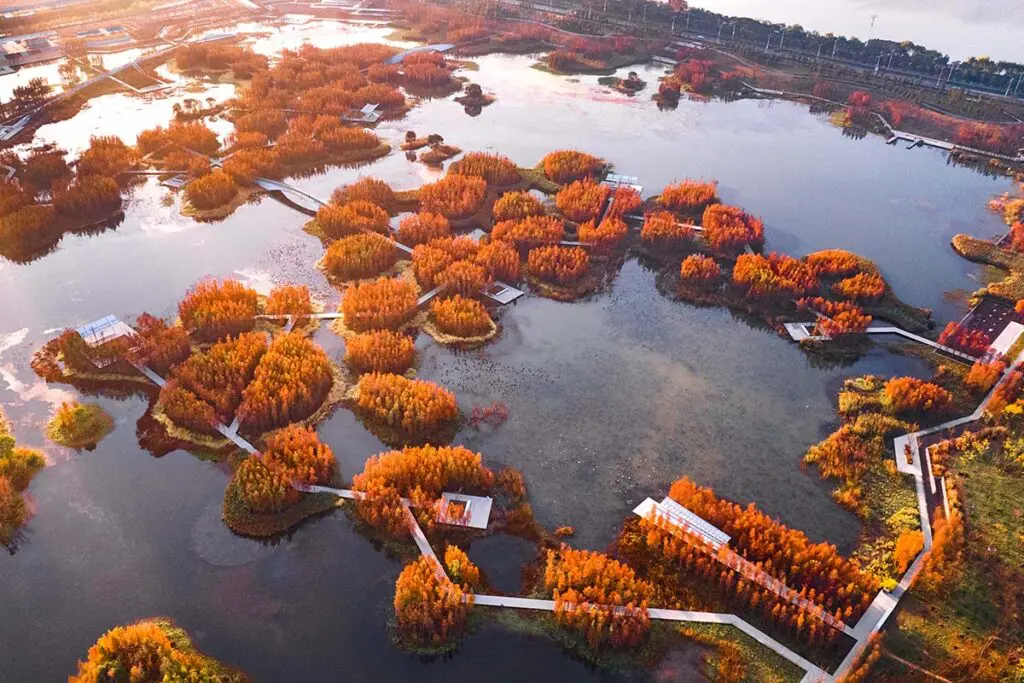 Fish tail park, un ‘bosque flotante’ en nanchang, china Bosque flotante en china